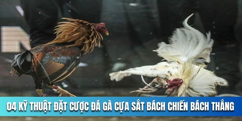 04-ky-thuat-dat-cuoc-da-ga-cua-sat-bach-chien-bach-thang