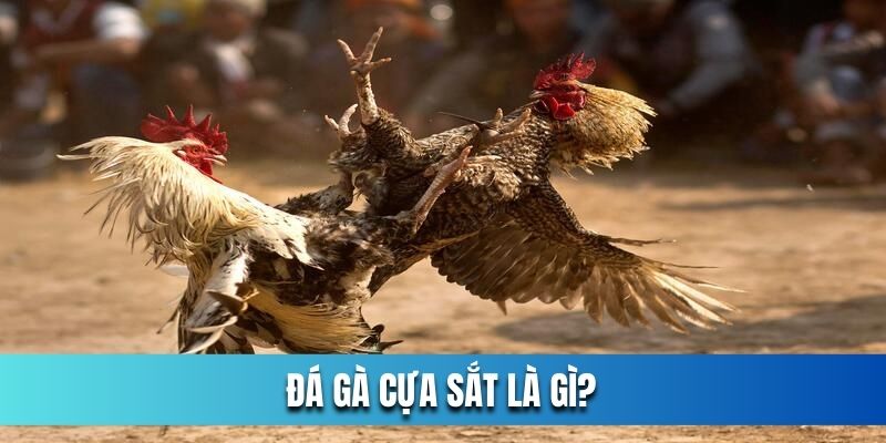 Da-ga-cua-sat-la-gi_