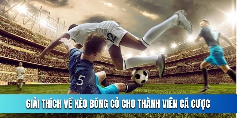tim-hieu-keo-bong-co-la-gi-de-xuong-tien-duoc-hieu-qua